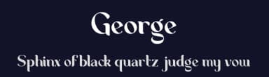 George by Dharmas Foundry — Serif Font — thumbnail 2