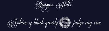 Georgina Stella by Calligraphy Fonts — Script Handwritten Font — thumbnail 2