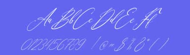 Geraldyn Brushko by Denustudios — Script Handwritten Font — thumbnail 3