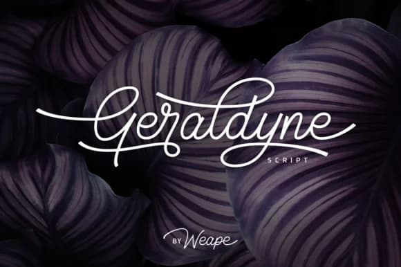 Geraldyne Font by Weape Design — Script Handwritten Font — preview 1