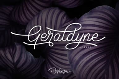 Geraldyne Font by Weape Design — Script Handwritten Font — thumbnail 1