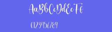 Gerillas by Bale — Script Handwritten Font — thumbnail 3