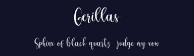 Gerillas by Bale — Script Handwritten Font — thumbnail 2