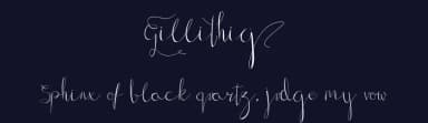 Gillithig by Skiiller Studio — Script Handwritten Font — thumbnail 2