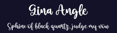 Gina Angle by Integritype Studio — Script Handwritten Font — thumbnail 2