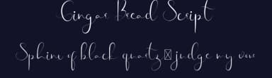 Gingar Bread Script by Edric Studio — Script Handwritten Font — thumbnail 2