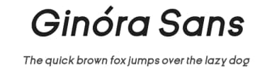 Ginóra Sans by typeog — Sans Serif Font — thumbnail 1