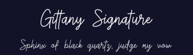 Gittany Signature by skillyasstudio.com — Script Handwritten Font — thumbnail 2