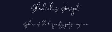 Gladiolus Script by Letterhend Studio — Script Handwritten Font — thumbnail 2