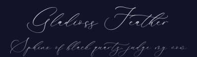 Gladioss Feather by Storytype Studio — Script Handwritten Font — thumbnail 2