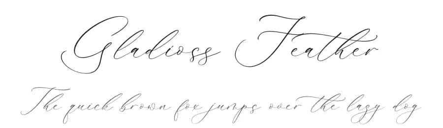 Gladioss Feather by Storytype Studio — Script Handwritten Font
