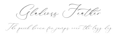 Gladioss Feather by Storytype Studio — Script Handwritten Font — thumbnail 1