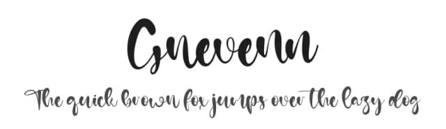Gnevenn by Staircase Studio — Script Handwritten Font