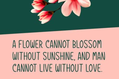 Godroons Font by Spanking Fonts — Script Handwritten Font — thumbnail 2