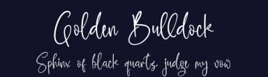 Golden Bulldock by Letterena Studios — Script Handwritten Font — thumbnail 2