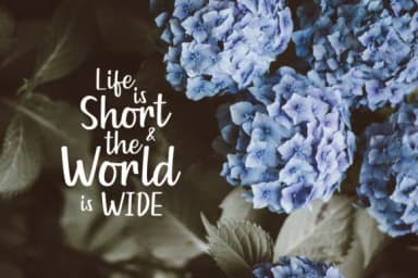 Goldiana Script Font by Micromove — Script Handwritten Font — thumbnail 9