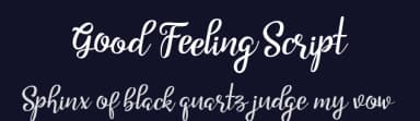 Good Feeling Script by Subectype & Orenari — Script Handwritten Font — thumbnail 2