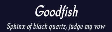 Goodfish by Typodermic Fonts — Serif Font — thumbnail 2