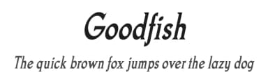 Goodfish by Typodermic Fonts — Serif Font — thumbnail 1