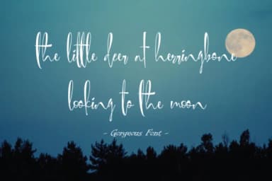 Gorgeous Font by ShiftStudios — Script Handwritten Font — thumbnail 5