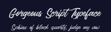Gorgeous Script Typeface by Superkij — Script Handwritten Font — thumbnail 2