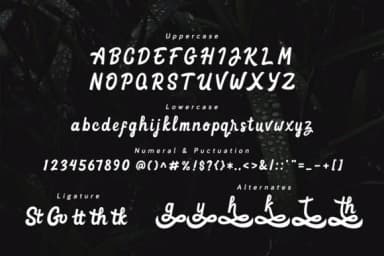 Goteru Font by Vunira — Script Handwritten Font — thumbnail 5