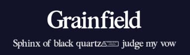 Grainfield by Kong Font — Serif Font — thumbnail 2