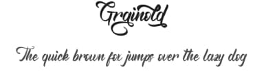 Grainold by Noah Type — Script Handwritten Font — thumbnail 1