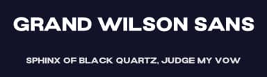 Grand Wilson Sans by Letterhend Studio — Sans Serif Font — thumbnail 2
