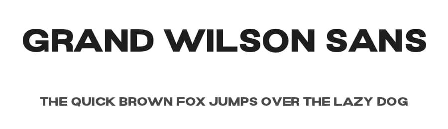 Grand Wilson Sans by Letterhend Studio — Sans Serif Font