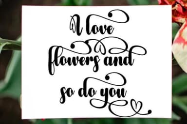 Grandpa Font by Ws Studio — Script Handwritten Font — thumbnail 4