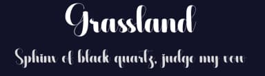 Grassland by Scratchones — Script Handwritten Font — thumbnail 2