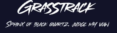 Grasstrack by Gassstype — Script Handwritten Font — thumbnail 2
