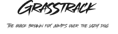 Grasstrack by Gassstype — Script Handwritten Font — thumbnail 1