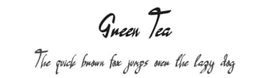 Green Tea by Design Vector10 — Script Handwritten Font — thumbnail 1