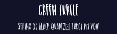 Green Turtle by Green Sea Studio — Script Handwritten Font — thumbnail 2