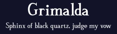 Grimalda by hikhstudio — Serif Font — thumbnail 2
