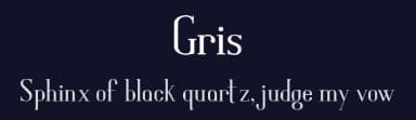 Gris by Shawn Griswold — Serif Font — thumbnail 2