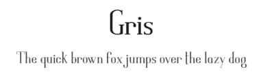 Gris by Shawn Griswold — Serif Font — thumbnail 1