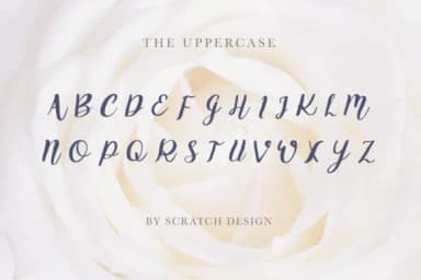 Griselda Font by Scratch Design — Script Handwritten Font — thumbnail 2