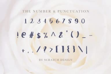 Griselda Font by Scratch Design — Script Handwritten Font — thumbnail 4