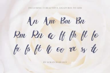 Griselda Font by Scratch Design — Script Handwritten Font — thumbnail 5