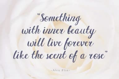 Griselda Font by Scratch Design — Script Handwritten Font — thumbnail 7