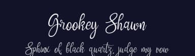 Grookey Shawn by bijeh.studio — Script Handwritten Font — thumbnail 2