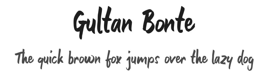 Gultan Bonte by Ali Hamidi — Script Handwritten Font — preview 1