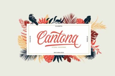 Gunstone Script Font by Ngene — Script Handwritten Font — thumbnail 3