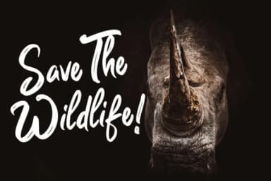 Guttenbay Font by CreatypeStudio — Script Handwritten Font — thumbnail 2