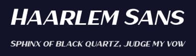 Haarlem Sans by Twicolabs Fontdation — Sans Serif Font — thumbnail 2