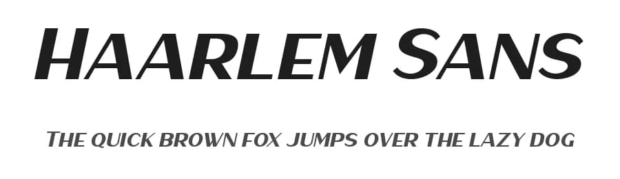 Haarlem Sans by Twicolabs Fontdation — Sans Serif Font
