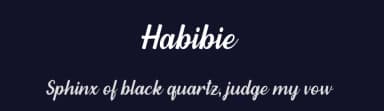 Habibie by NJ Studio — Script Handwritten Font — thumbnail 2